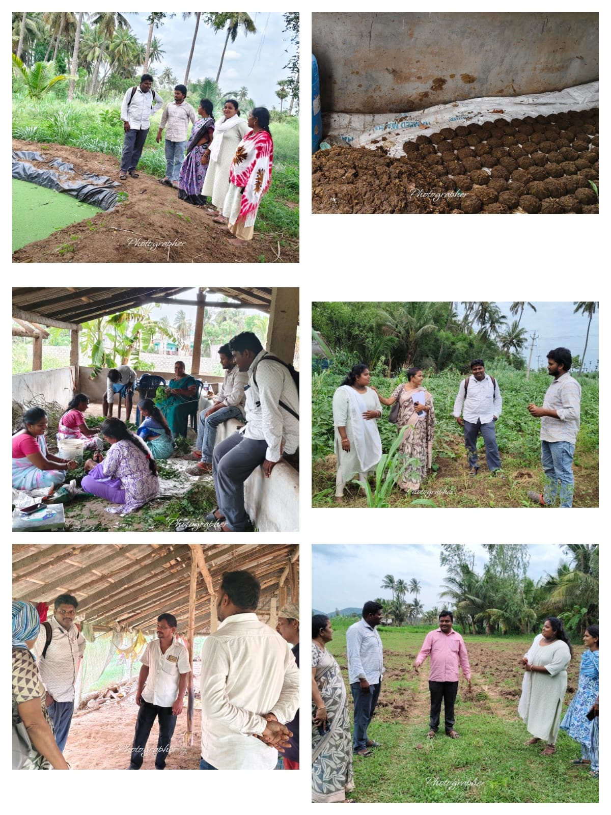 Field visit to Melipaka Cluster interaction with Farmers along with SERP APM, FPO CC